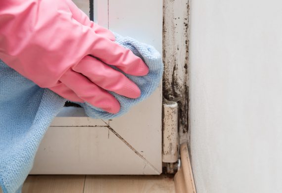 Someone wearing a pink glove using a cloth to remove mould