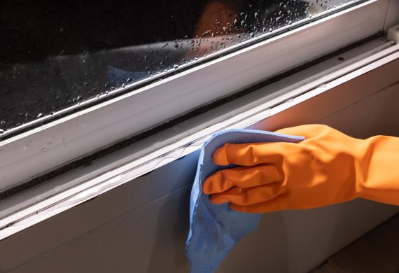 Insulated Windows During Winter