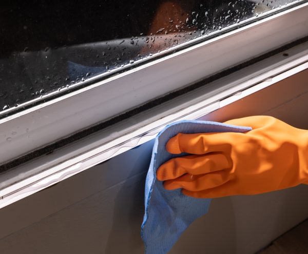 Insulated Windows During Winter